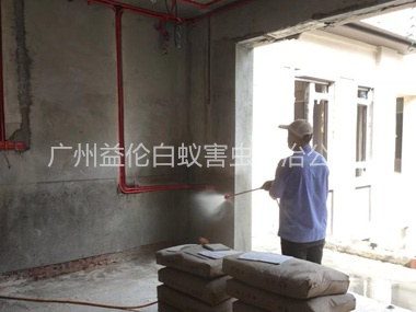 芙蓉裝修預防白蟻工程
