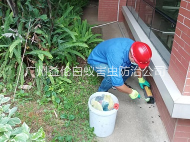 雅瑤施藥滅鼠工程