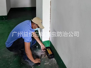 花山電機(jī)房滅殺白蟻工程