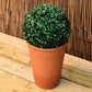 2 x 28cm Green Solar LED Topiary Ball Garden Outdoor Lighting Potted
