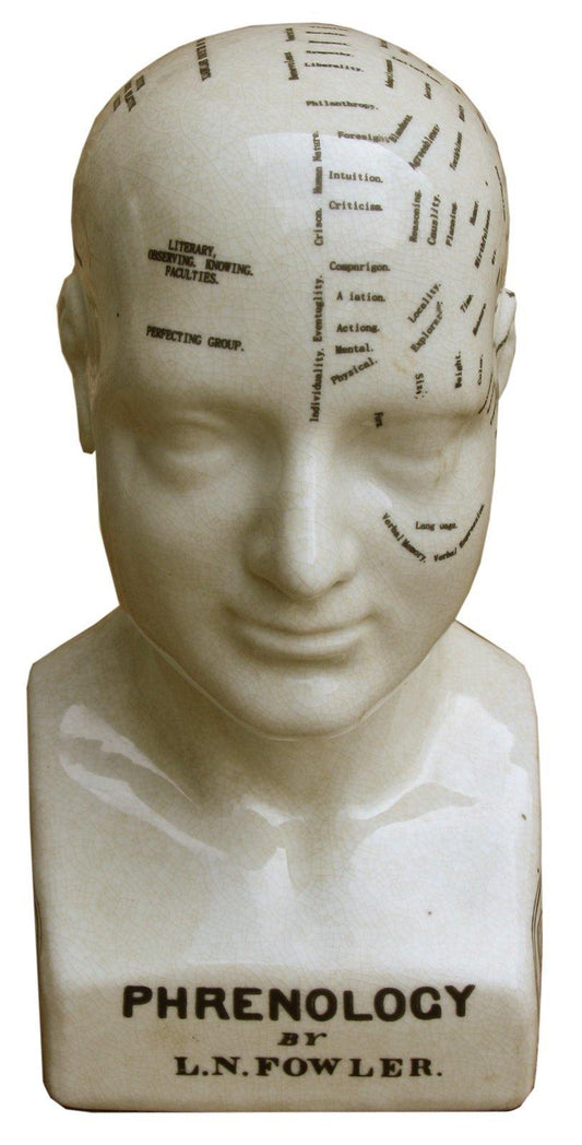 Medium Ceramic Phrenology Head Ornament, 25cm L N Fowler Art Statue - Kporium Home & Garden