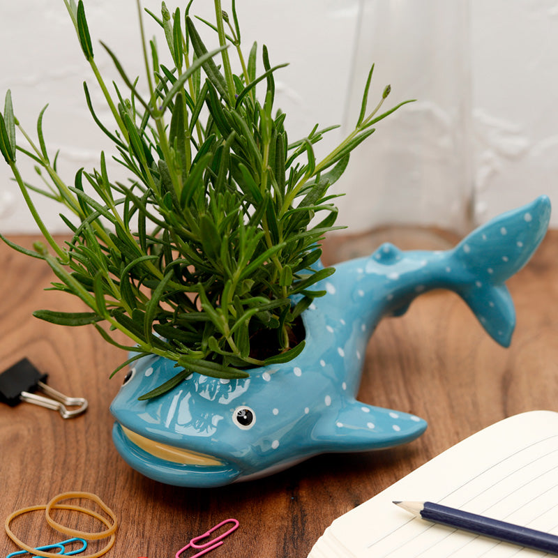 Decorative Ceramic Indoor Freestanding Planter - Whale Shark
