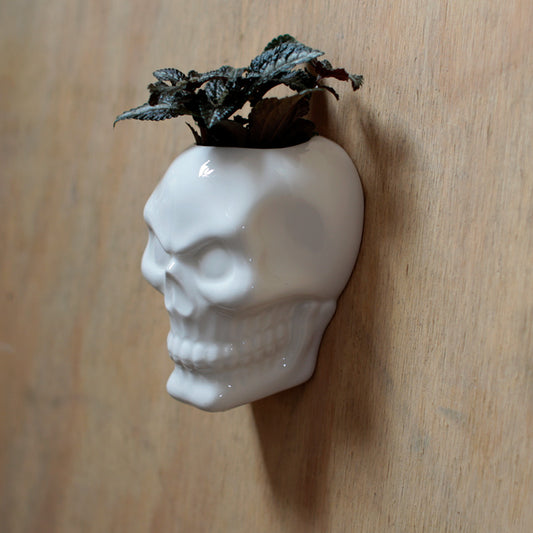 Decorative Ceramic Indoor Wall Planter Pot - Skull Head
