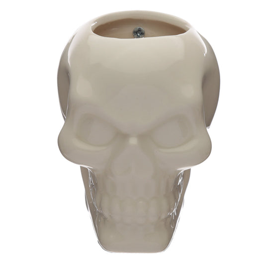 Decorative Ceramic Indoor Wall Planter Pot - Skull Head