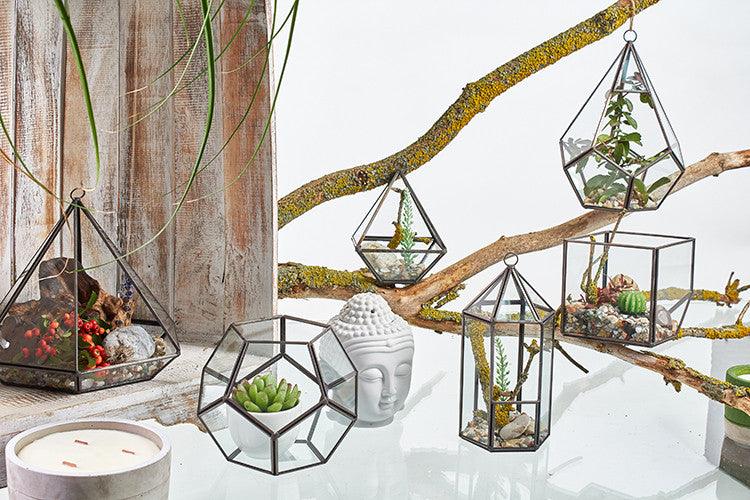 Geometric Glass Terrarium for Succulents and Plants - Stylish Planter Pot