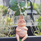 Mandrake Garden Ornament Harry Potter Sitting Root Weed Statue