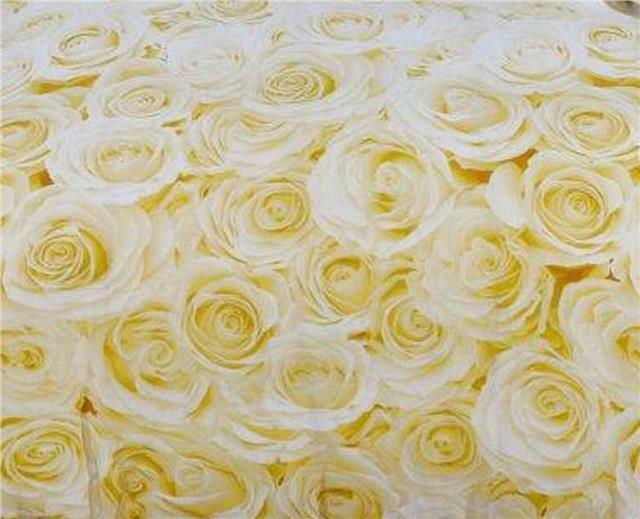 Ochre Multi Floral Rose Print Duvet Cover Polycotton Bedding Quilt Set