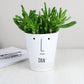 Personalised White  'Mr Face' Plant Flower Pot Gift