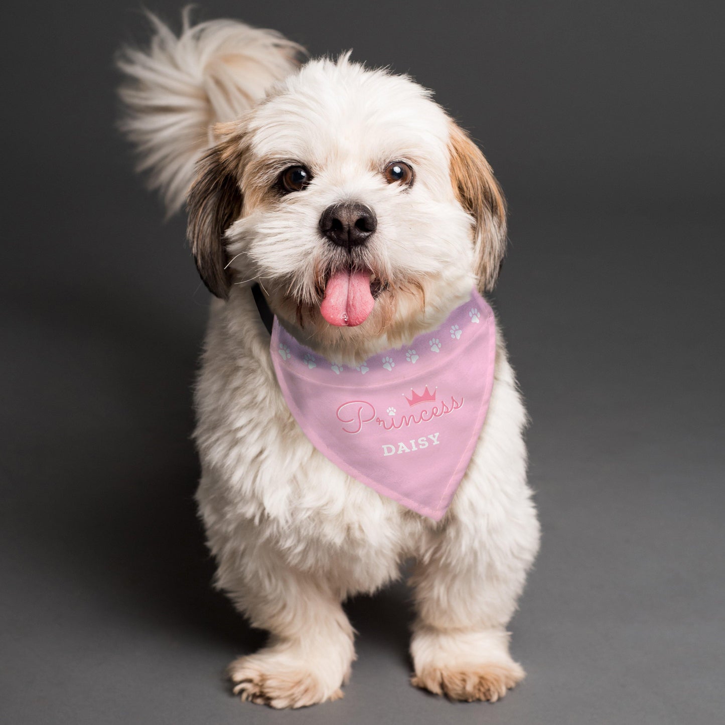 Personalised Name Princess Dog Bandana Pet Gifts - Home Inspired Gifts