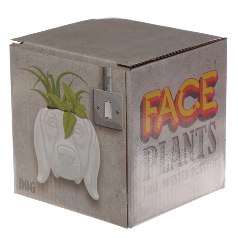 Decorative Ceramic Indoor Wall Planter Pot - Dog Head Face