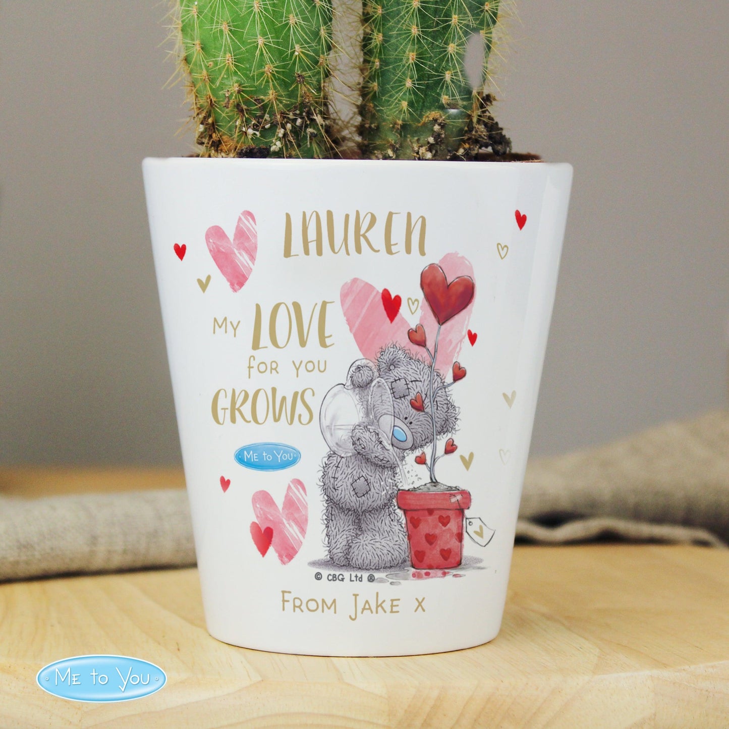 Personalised Me To You Hold You Forever Love Plant Flower Pot