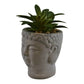Small Artificial Faux Succulent in Buddha Head Plant Pot Ornament - Kporium Home & Garden