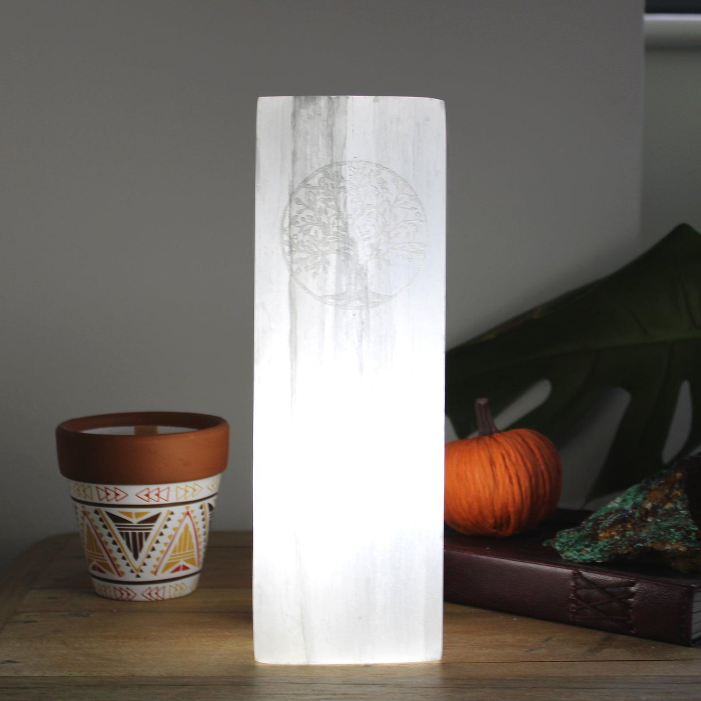 Natural Selenite Healing Crystal Light - Tree of Life Tower Block Lamp 25cm