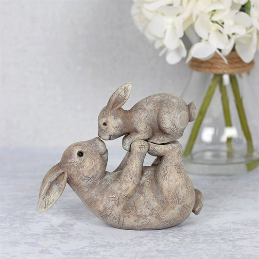 Some Bunny Loves You Animal Ornament
