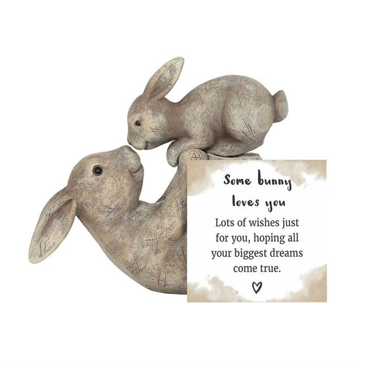 Some Bunny Loves You Animal Ornament